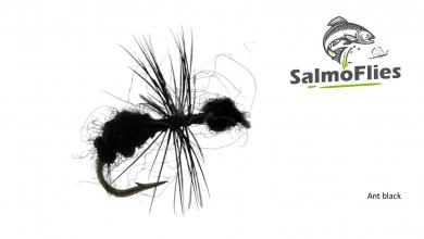 Ant black 12