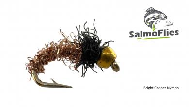 Bright Cooper Nymph 12