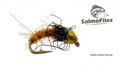 Bright Golden Nymph 12