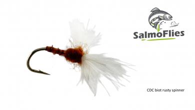 CDC biot rusty spinner 12
