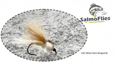 CDC White Dark Winged BL 12