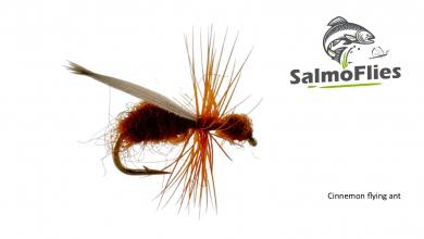 Cinnemon flying ant 12