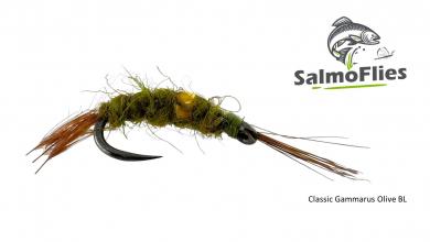 Classic Gammarus Olive BL 12
