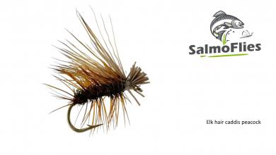 Elk hair caddis peacock 12