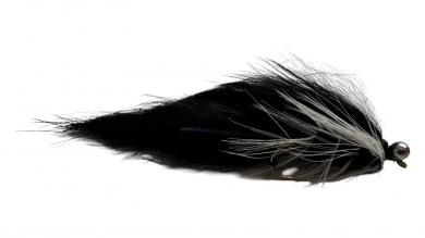 Forellenzonker schwarz weiß 