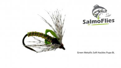 Green Metallic Soft Hackles Pupa BL 12