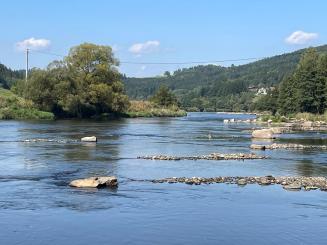 Fliegenfischen am Regen 