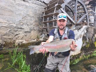 Fliegenfischen an der Krka Slowenien 