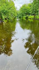 Fliegenfischen an der Großen Mühl in Österreich 