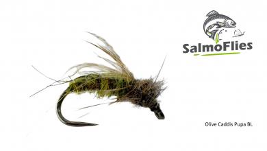 Olive Caddis Pupa BL 12