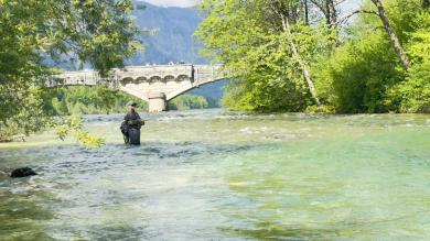 Fliegenfischen an der Sava Bohinjka 