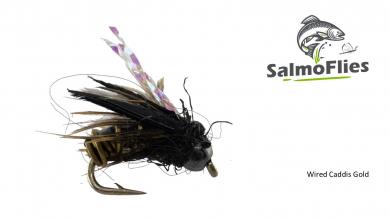 Wired Caddis Gold 12