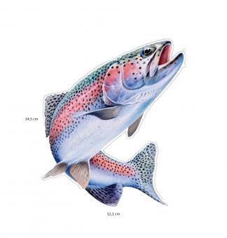 Aufkleber Regenbogenforelle 